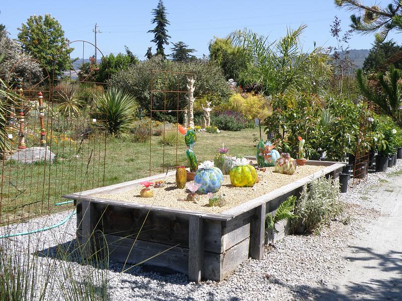 P6282132 Sierra Azul.jpg